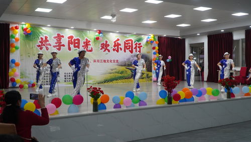 共享阳光 欢乐同行 文化交流活动在犍为举行