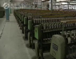 阆中重点项目视察,老城停车场 春节文化年街 水城等项目进展全在这儿.....