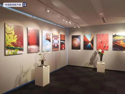 纪念中日邦交正常化50周年 “中国故宫摄影和日本插花艺术展”在东京开幕