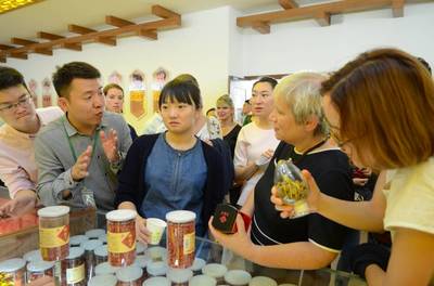“草晶华破壁草本”成中法青年文化交流主题