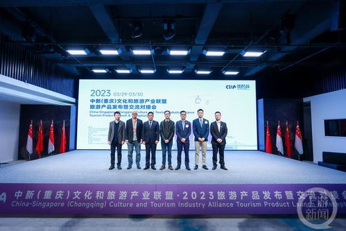 中新 重庆 文化和旅游产业联盟举行首场成员交流会