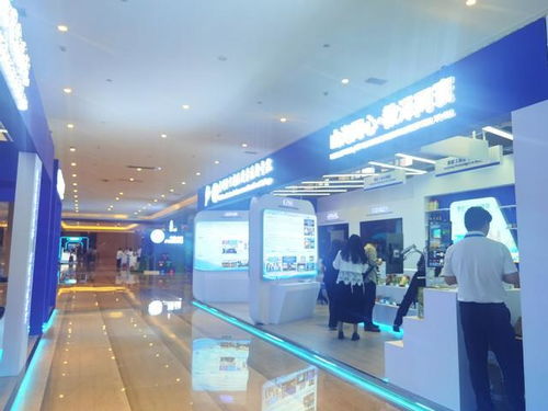 聚焦2025中国 东盟教育交流周 高科技展示 非遗展演,多彩展览 动静结合 好迷人